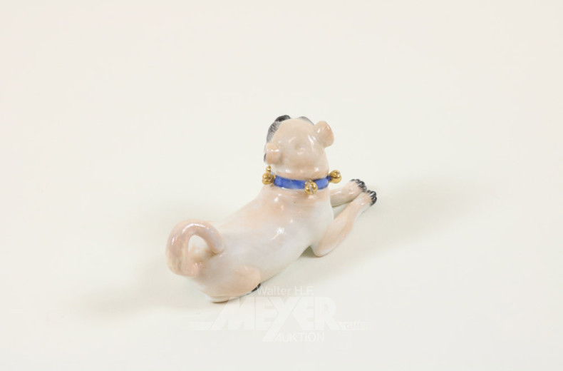 kl. Porz--Figur, MEISSEN ''Mops''