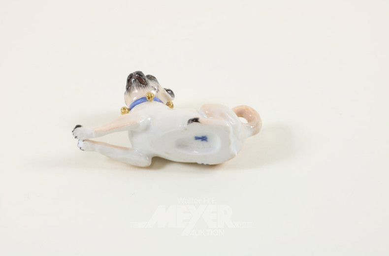 kl. Porz--Figur, MEISSEN ''Mops''