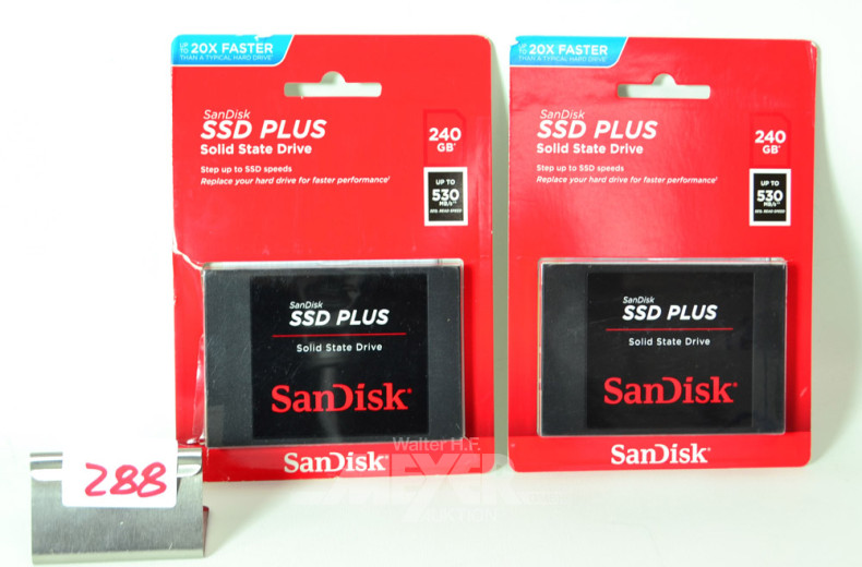 2 SSDplus- Festplatten ''SanDisk''
