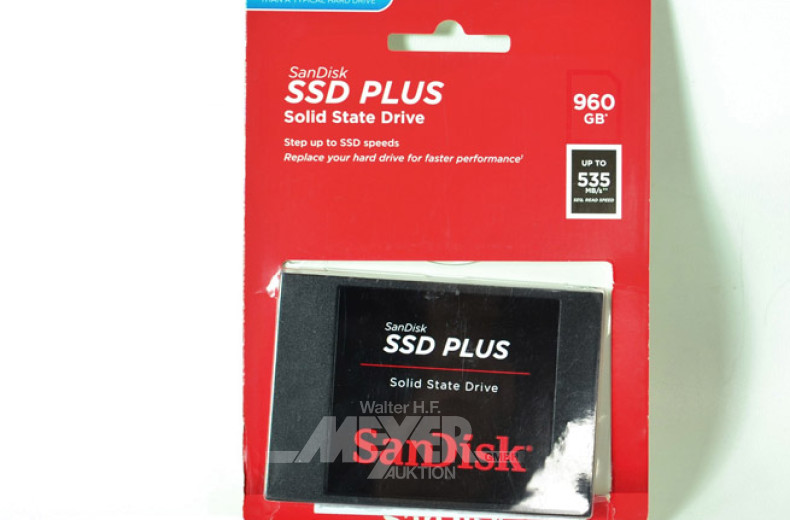 SSDplus- Festplatten ''SanDisk''