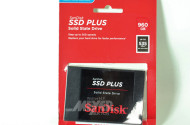SSDplus- Festplatten ''SanDisk''