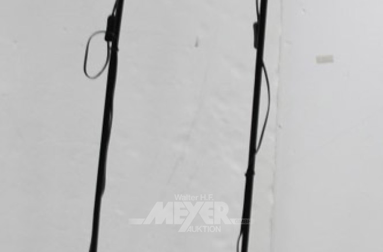 2 Deckenfluter, schwarz