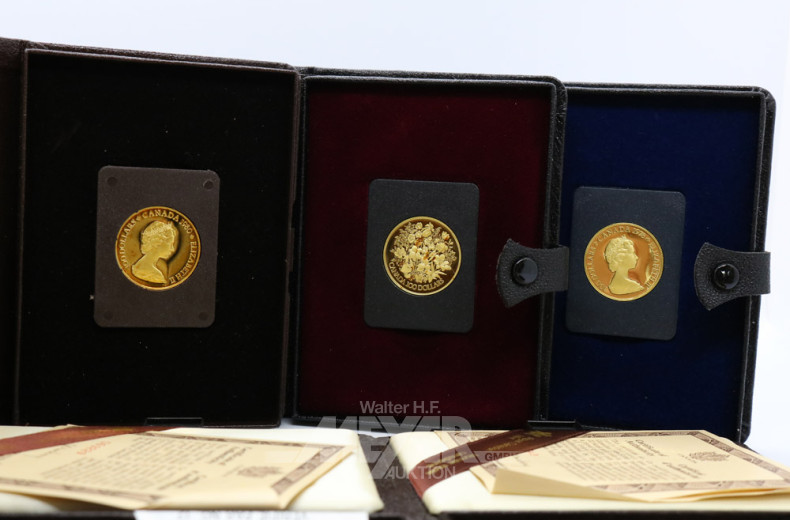 5 Etuis mit je 100 Dollar-Goldmünze