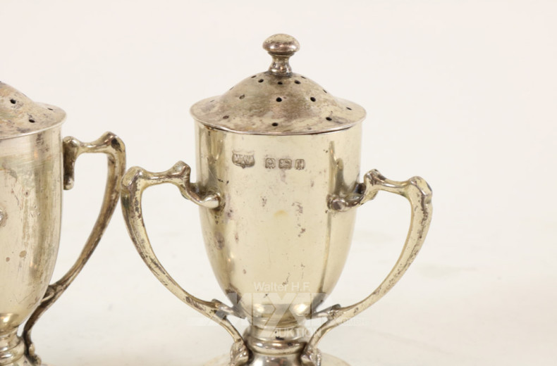 Paar Gewürzstreuer, Silber,