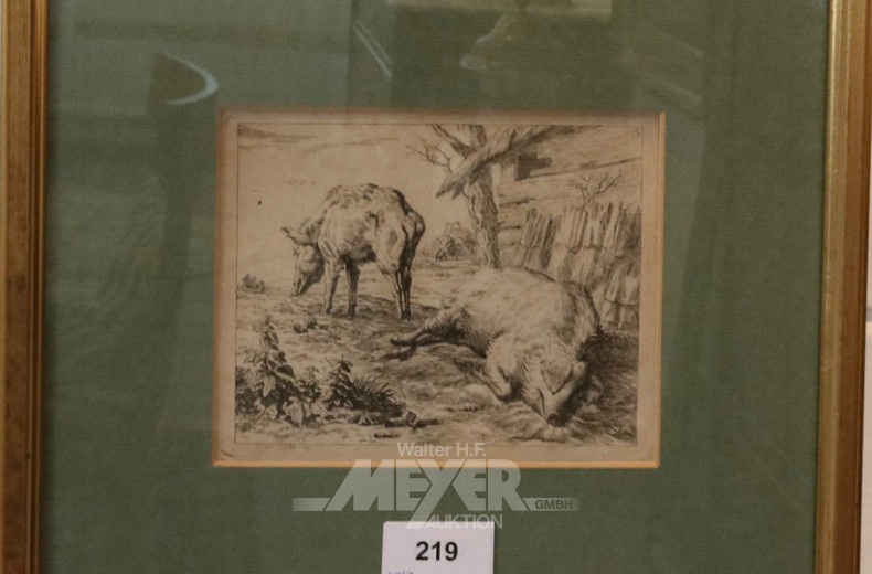 kl. Stahlstich ''Schweine''