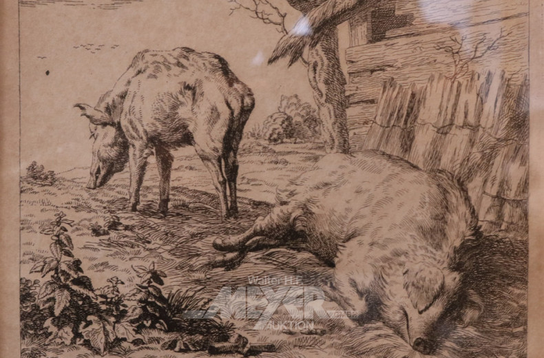 kl. Stahlstich ''Schweine''