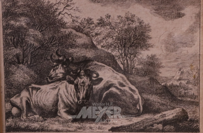 Stahlstich ''Kühe''