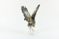 gr. Porzellan-Figur ''Greifvogel''