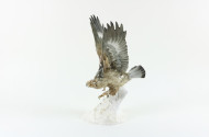 gr. Porzellan-Figur ''Greifvogel''