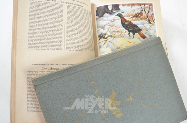 Posten div. Sammelalben, Film- und