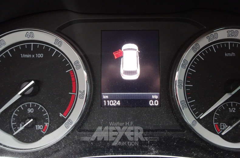 SKODA, cappucino-beige metallic