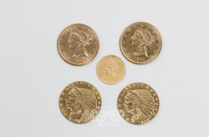 5 versch. kl. Goldmünzen 1 + 5 Dollar