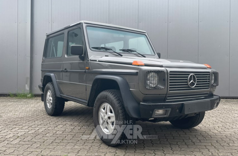 MERCEDES-BENZ G-Klasse 300GE W463, grau