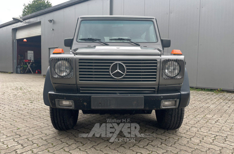 MERCEDES-BENZ G-Klasse 300GE W463, grau