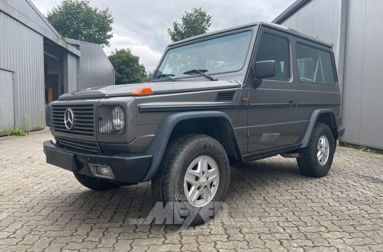 MERCEDES-BENZ G-Klasse 300GE W463, grau