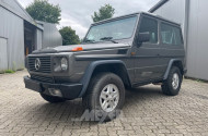 MERCEDES-BENZ G-Klasse 300GE W463, grau