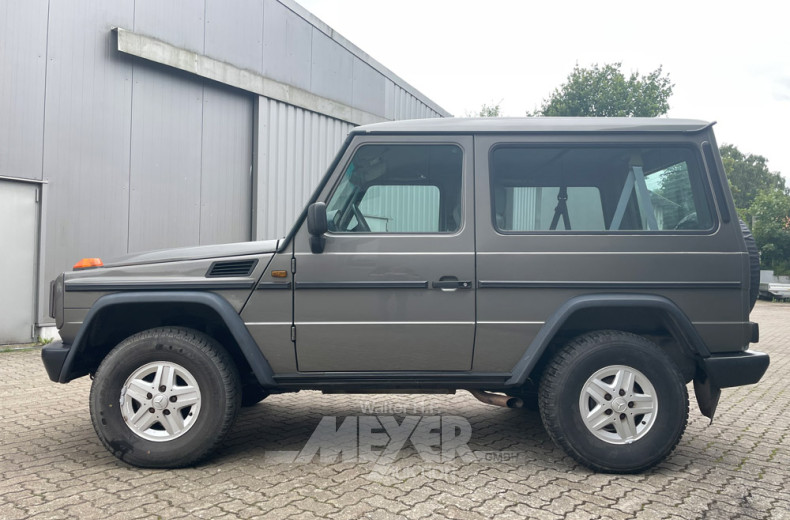 MERCEDES-BENZ G-Klasse 300GE W463, grau