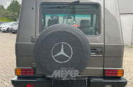 MERCEDES-BENZ G-Klasse 300GE W463, grau