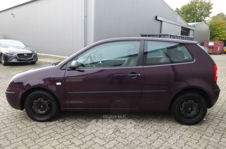 VOLKSWAGEN Polo 9n, Aubergine metallic,