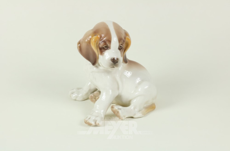 2 Porzellan-Figur ''Hund'', Nymphenburg