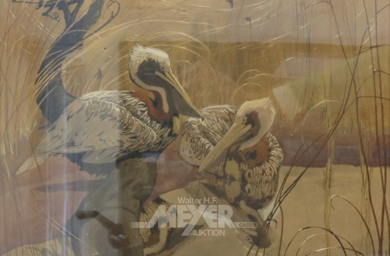 Aquarell ''Pelikane'' dat. 1908,