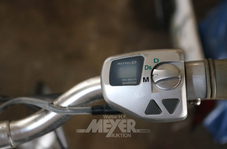 E-Bike Damenfahrrad EASY super, silber,