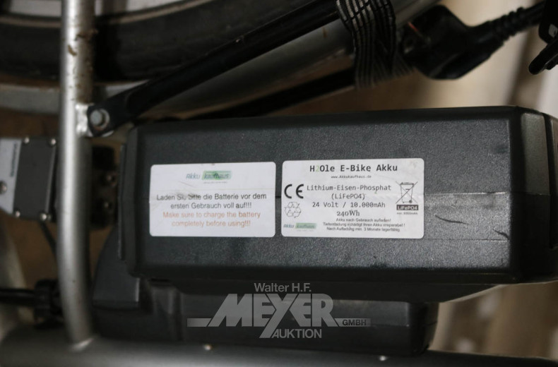 E-Bike Damenfahrrad EASY super, silber,