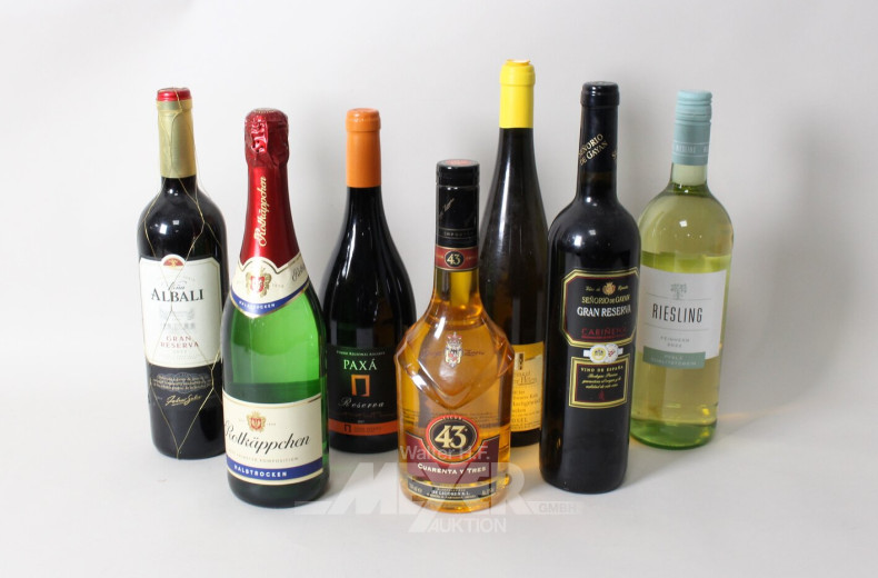 15 Flaschen Alkoholica