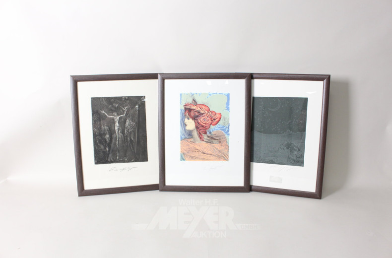 6 versch. Radierungen u. Lithografien: "Der Rosenkönig, Mars, Frauenprofil, Vaso Grotesco, Totenglocke, Werwolf"