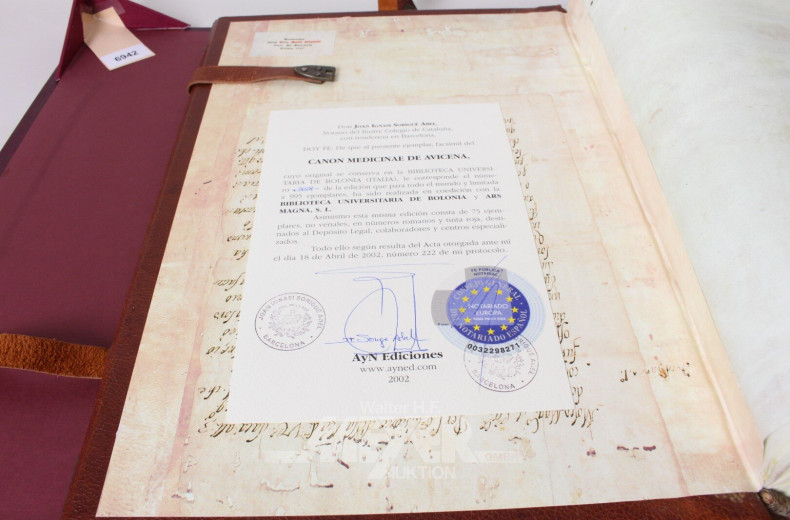 Faksimilie / Prachtbuch "Das Meisterwerk des Medicus"