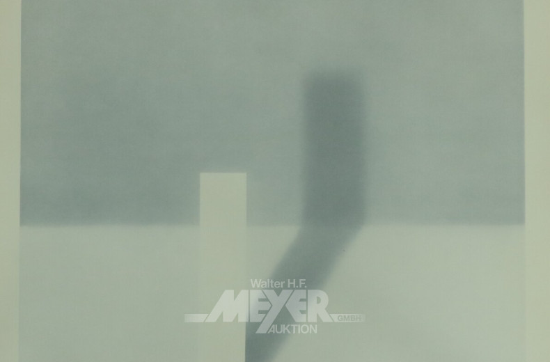 Lichtdruck 'Schattenbild I'