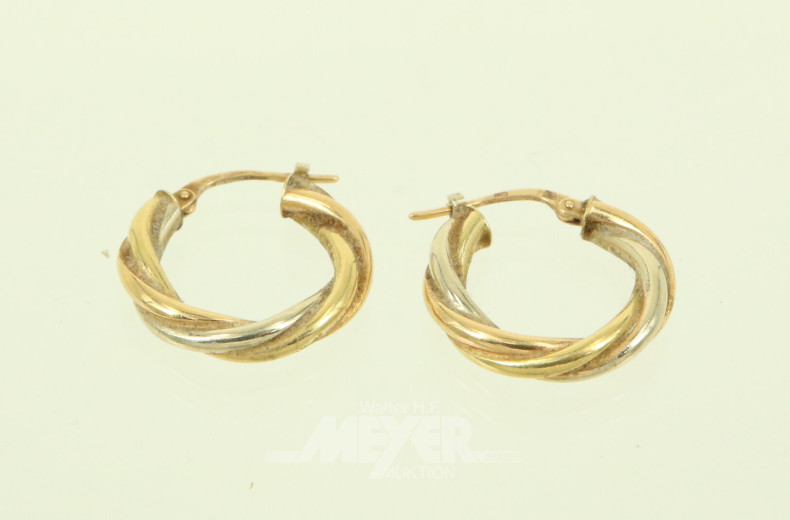 Paar kl. Tricolor-Creolen