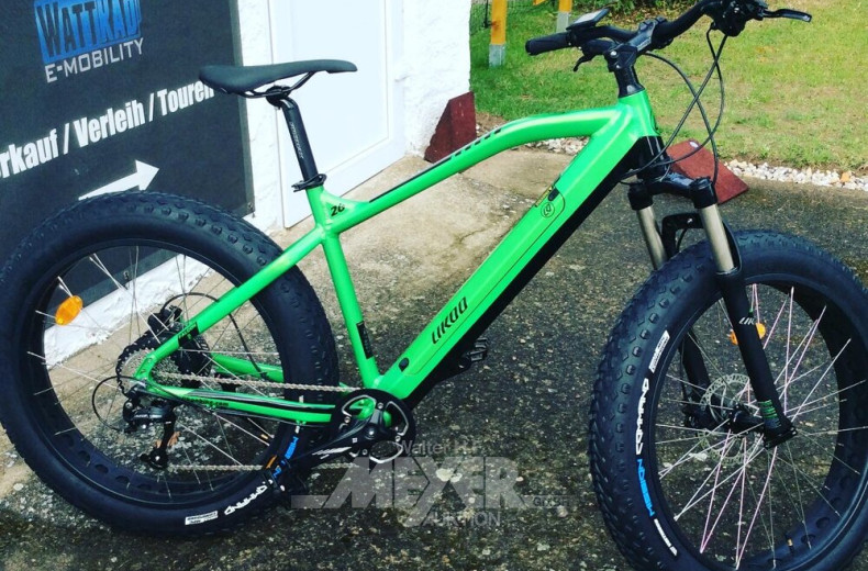 E-Bike, gebraucht (2023) - Vorführrad