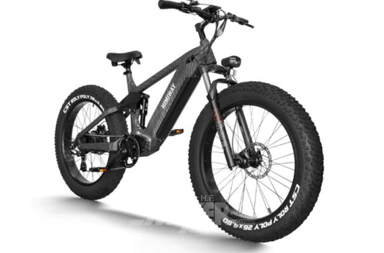 E-Bike, gebraucht (2024)
