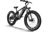 E-Bike, gebraucht (2024)