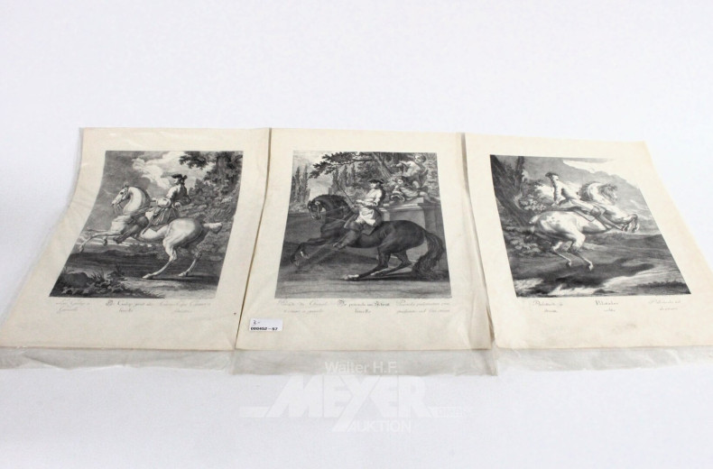 3 Kupferstiche "Der Galop gerad aus, Die Parade im Schritt, Paoltaten"