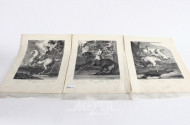 3 Kupferstiche "Der Galop gerad aus, Die Parade im Schritt, Paoltaten"