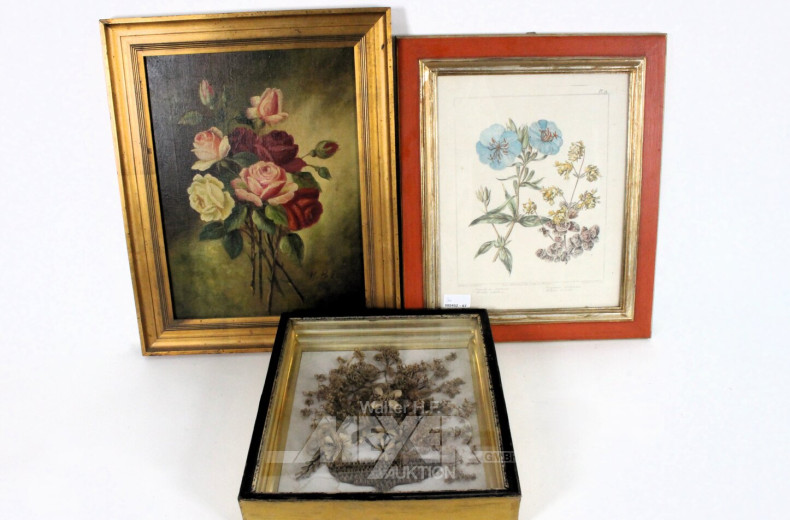 3 versch. Bilder "Rosenstillleben, Flora und Fauna, Haarbild