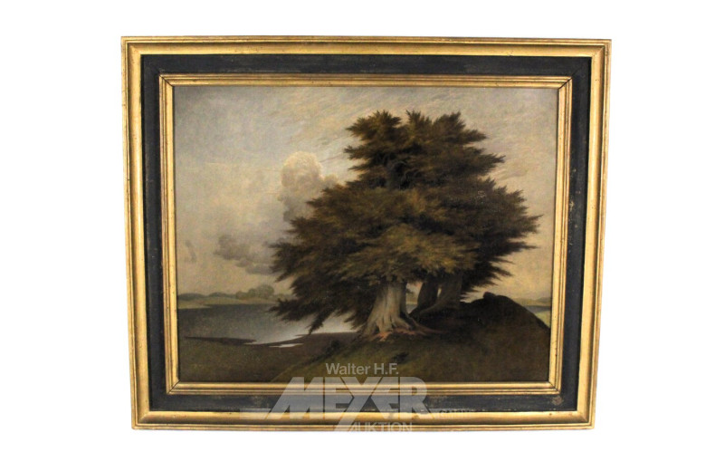 Gemälde "Bäume am Eutiner See"