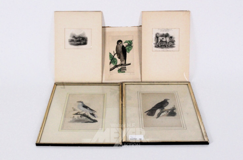 5 Stiche "Hunde und Vögel"