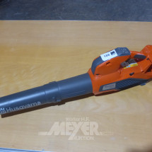 Los 188: Akku-Laubbläser