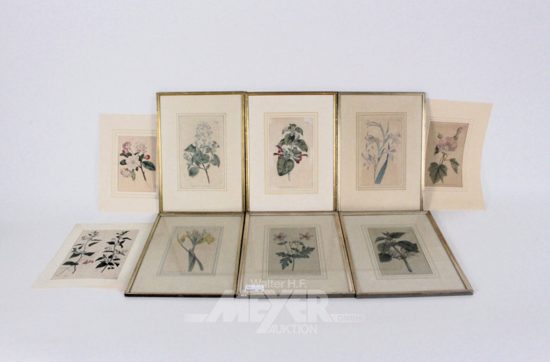 9 color. Stiche "Flora und Fauna"