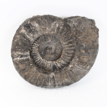 Varia Auktion am Mittwoch, den 27.08.2025