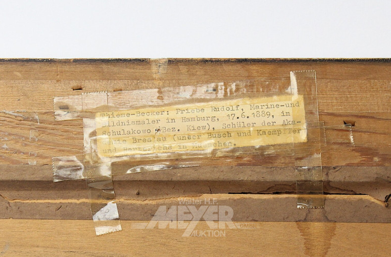 Gemälde  "Halliglandschaft"