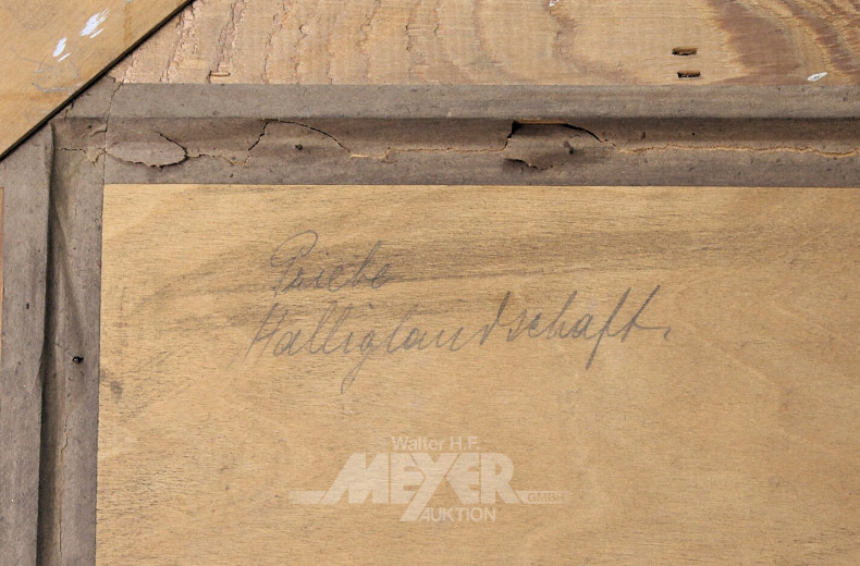 Gemälde  "Halliglandschaft"