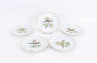 5 Wandteller MEISSEN, Vogelmotive
