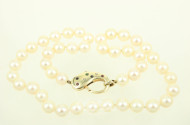 Perlencollier mit gr. Schließe in 585 GG