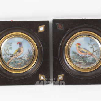Paar Miniaturmalereien 'Paradiesvögel' auf Porzellan