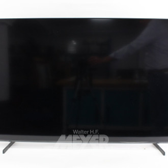 TV-Gerät 55"