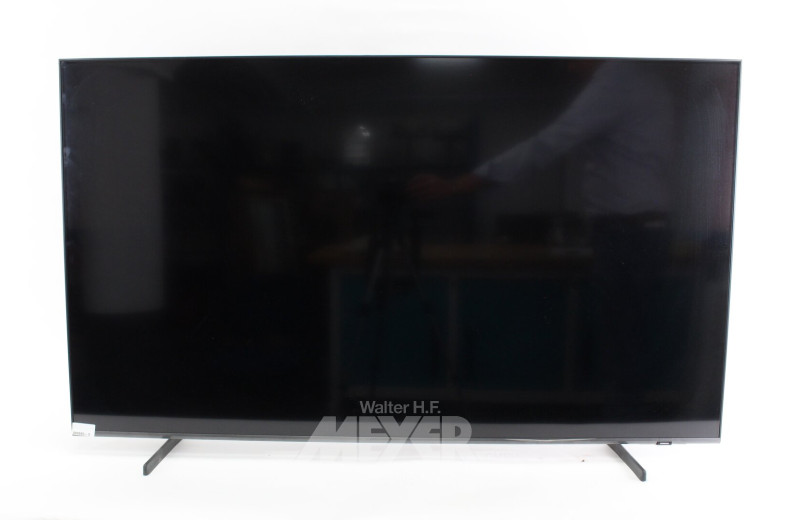 TV-Gerät 55"